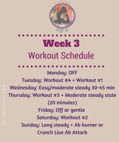 ssu2015-week-3-workouts